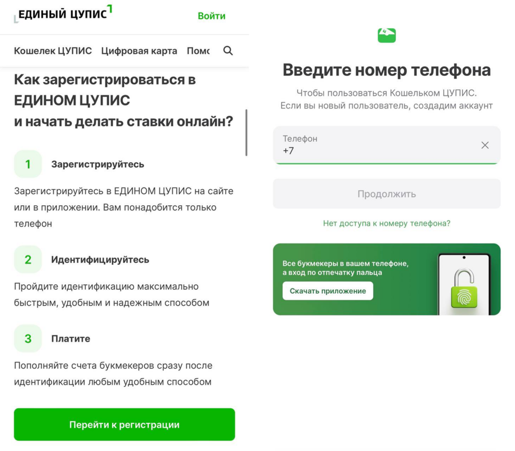 регистрация в ЕЦУПИС регистрация в ЕЦУПИС