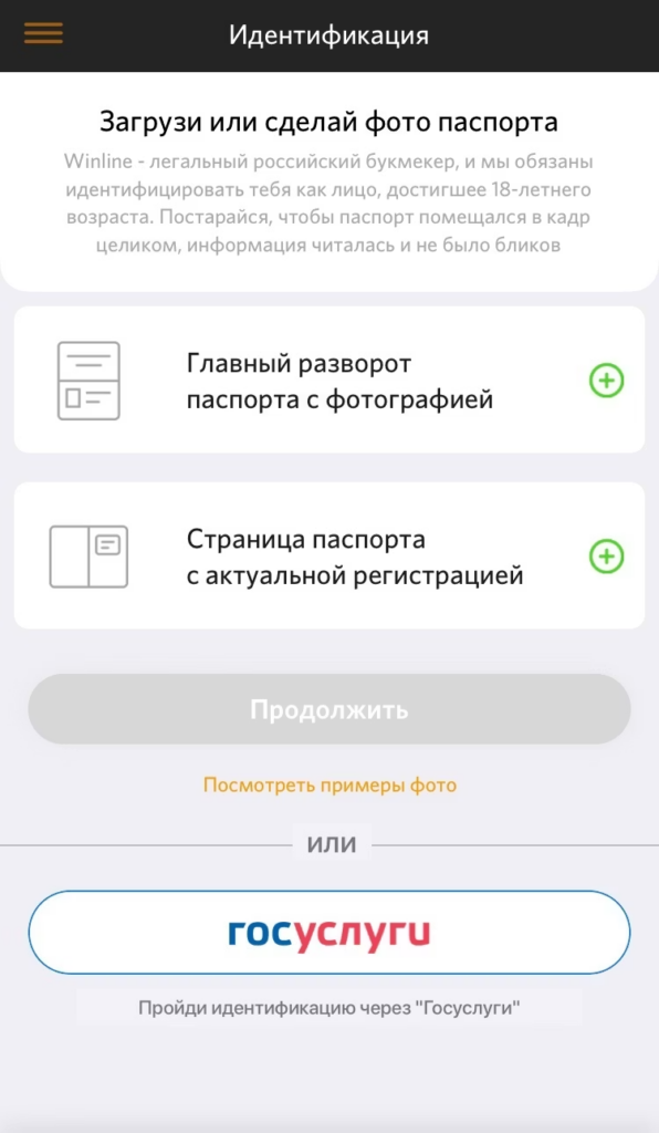 идентификация Винлайн через Госуслуги идентификация Винлайн через Госуслуги