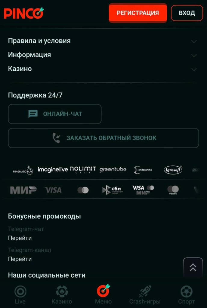 написать в техподдержку Пинко через мобильную версию  онлайн чат с мобильной версии