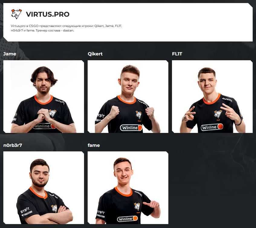 Основной состав команды Virtus.pro по игре CS:GO 