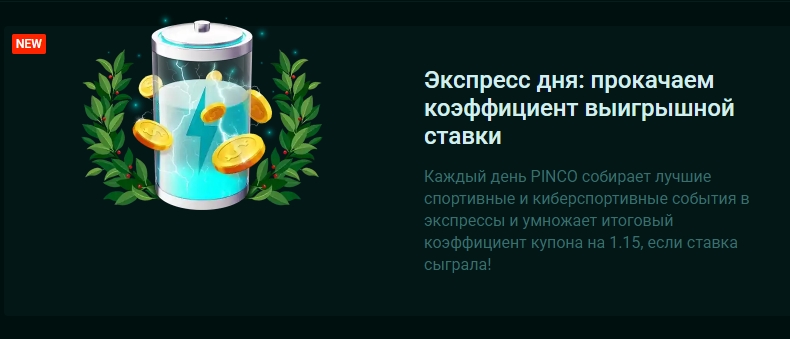 Экспресс дня от PINCO