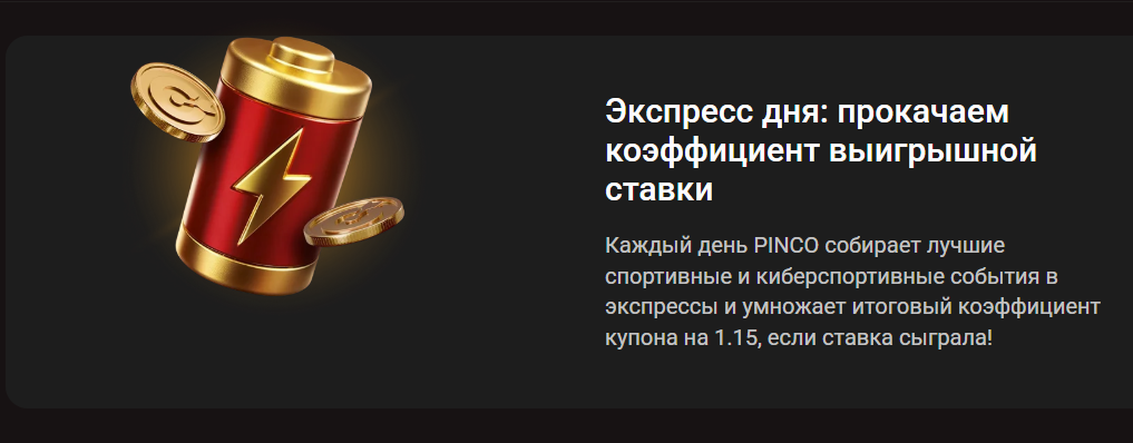 Экспресс дня от PINCO