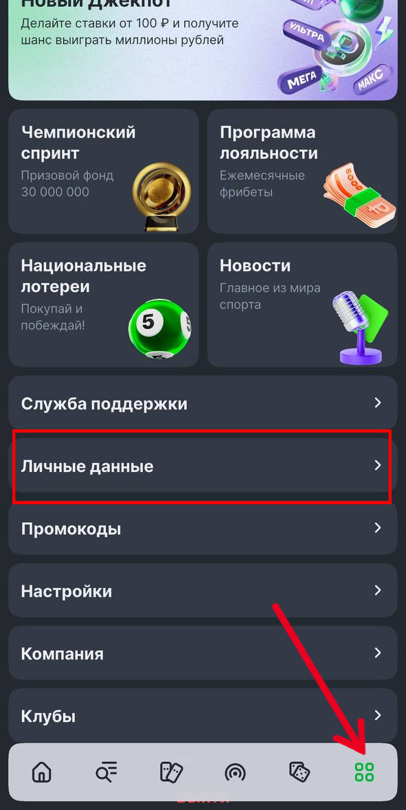 Личные данные в приложении Лиги Ставок
