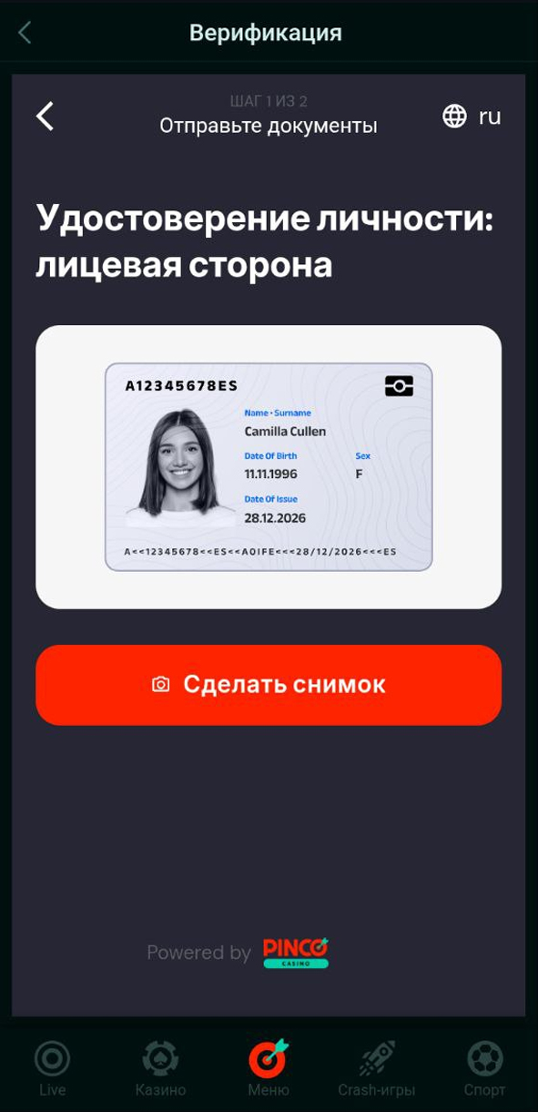Выбор документа для идентификации
