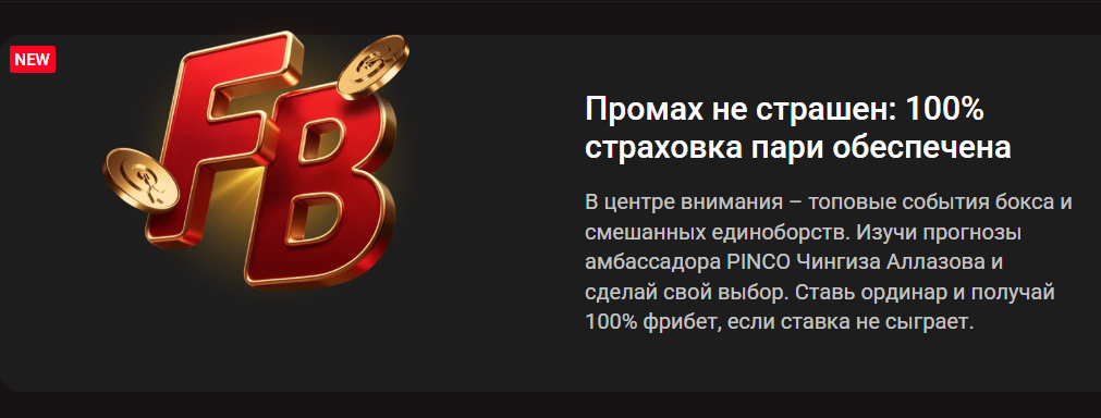 100% страховка ординара