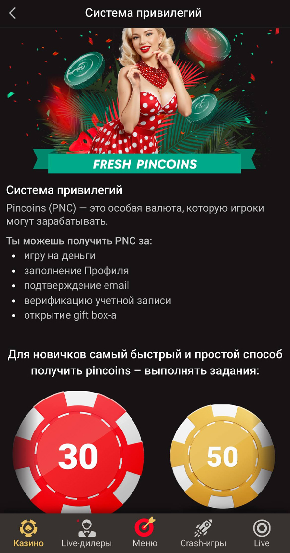 Программа лояльности Пинко
