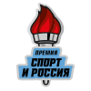Лучший хоккейный проект года